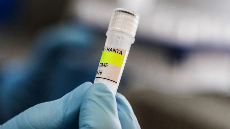 World Health Organization Warns Of More Hantavirus Cases In ‘Limited’ Outbreak